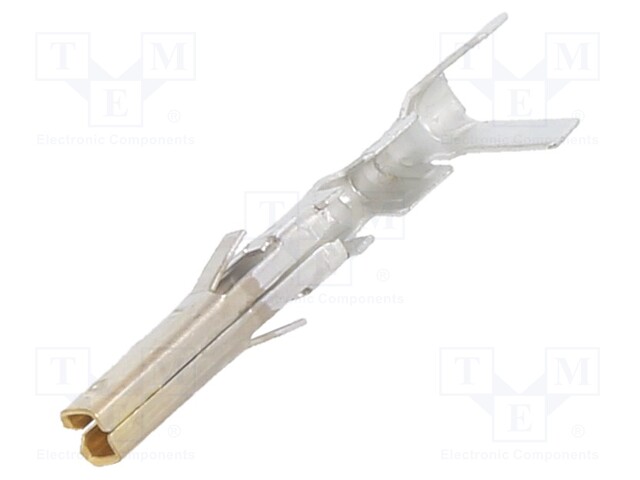 MiniFit Term Crp Fem Lse Bz 30Au 18-24