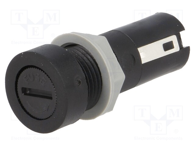 Fuse holder; cylindrical fuses; 5x20mm; 10A; Mounting: on panel