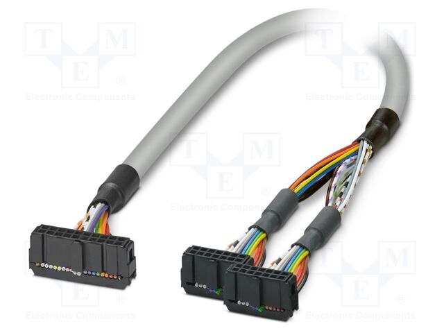 Ribbon cable with IDC connectors; Contacts ph: 2.54mm; 10m