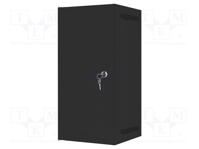 Enclosure: rack cabinet; Standard: 10"; 12U; black; Z: 310mm