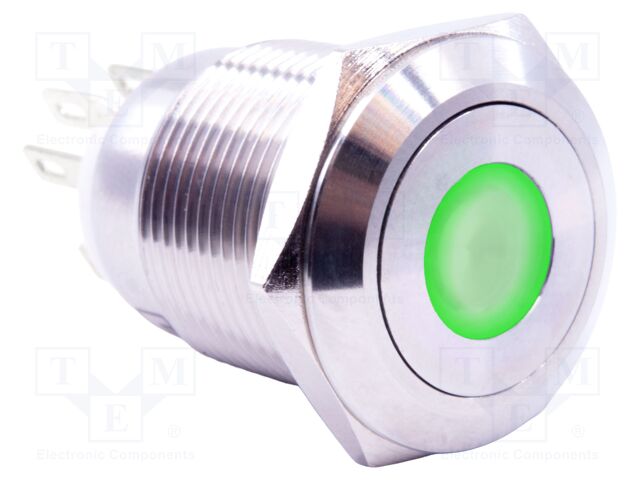 Switch: vandal resistant; SPST-NO + SPST-NC; 2A/24VDC; IP67; 24V