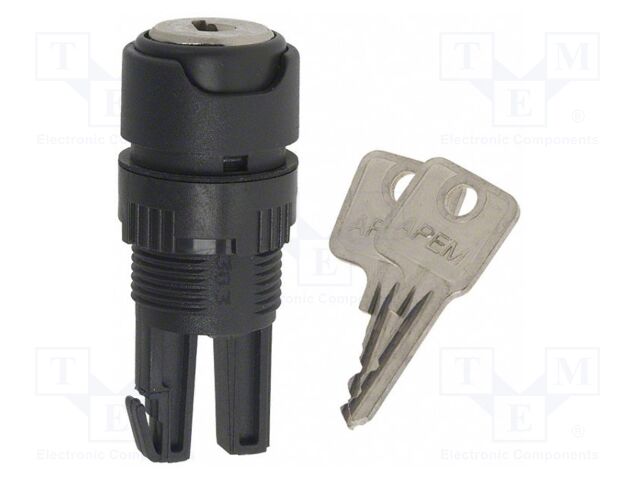 Switch: rotary with key
