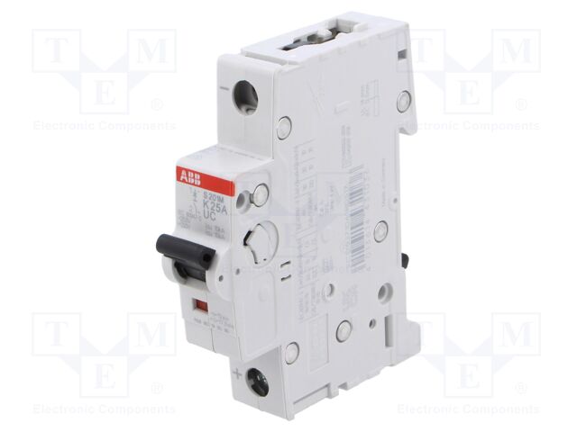 Circuit breaker; 230VAC; 220VDC; Inom: 25A; Poles: 1; Charact: K