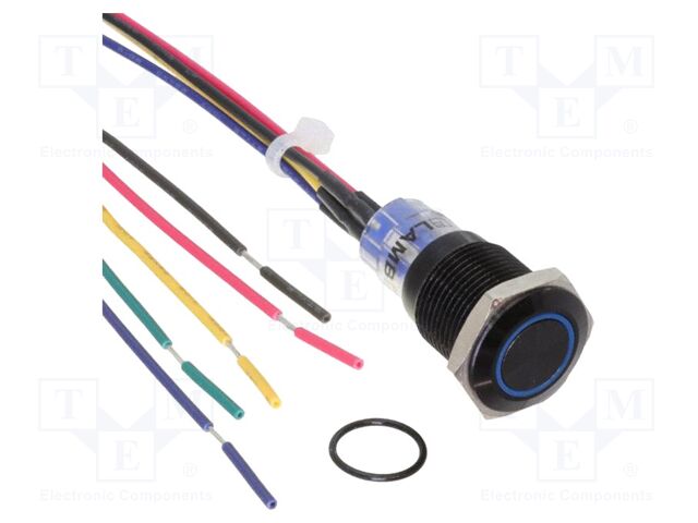 Switch: vandal resistant; Pos: 2; SPDT; 2A/48VDC; IP67; ON-(ON)