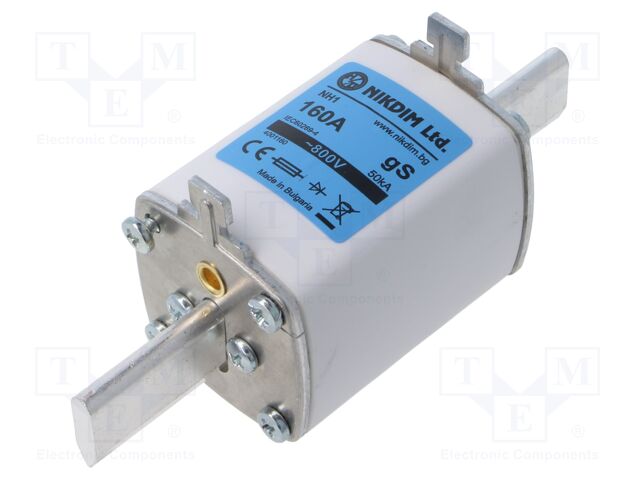 Fuse: fuse; 160A; 800VAC; gS; industrial; NH1