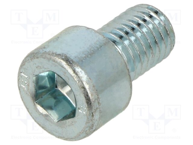 Screw; M10x16; Head: cheese head; hex key; HEX 8mm; steel; zinc