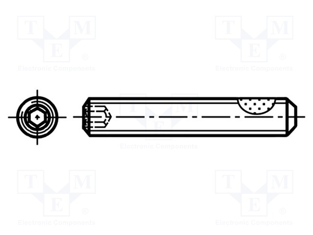 Screw; withTuflok patch; M3x10; 0.5; Head: without head; hex key