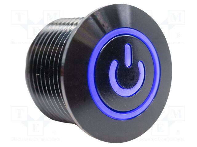 Switch: vandal resistant; Pos: 2; SPST-NO; 2A/36VDC; IP67; OFF-(ON)