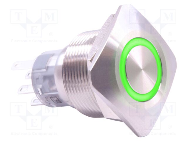Switch: vandal resistant; SPDT; 2A/24VDC; IP65; ON-(ON); green; 24V