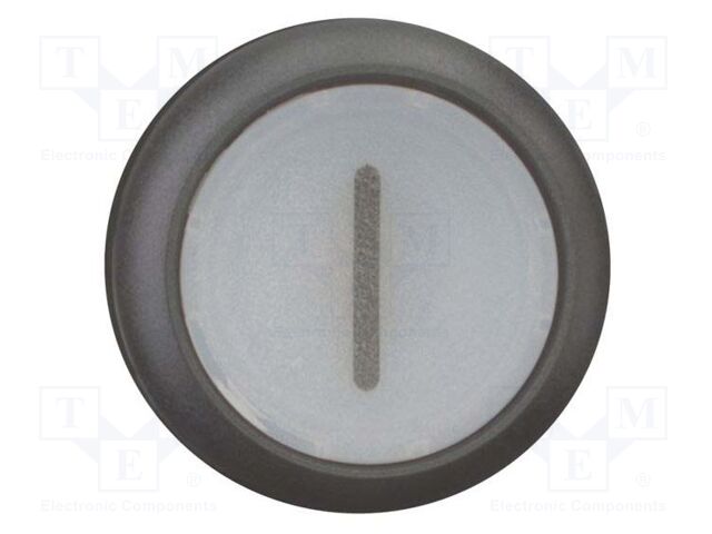 Switch: push-button; Stabl.pos: 2; 22mm; white; IP67; Pos: 2; Ø22.5mm