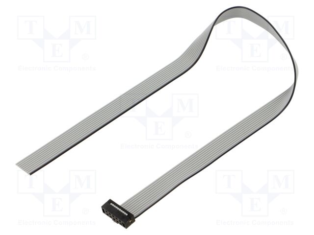 Ribbon cable with IDC connectors; IDC,wires; Tape ph: 1mm; 12"