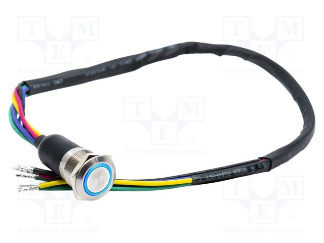 Switch: vandal resistant; DPDT; 3A/250VAC; IP67; ON-ON; blue; 3V
