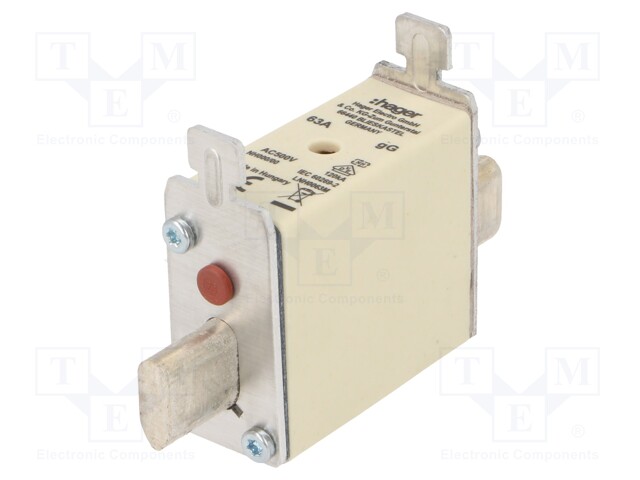 Fuse: fuse; gG; 63A; 500VAC; industrial; NH000