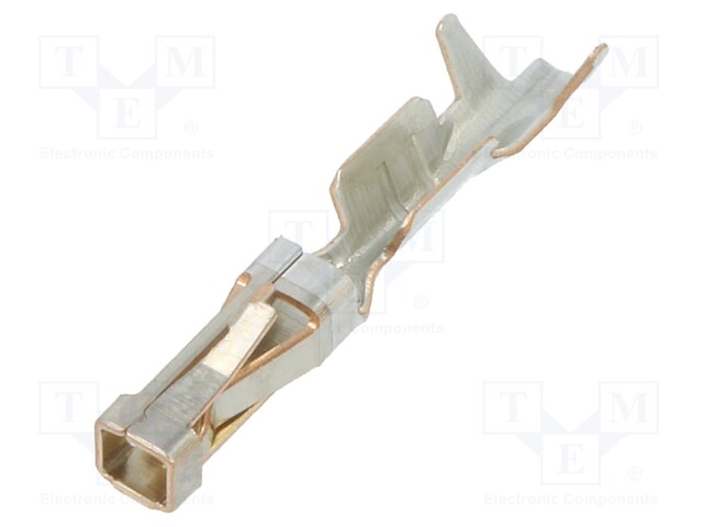 SHORT POINT RECP CONT LP