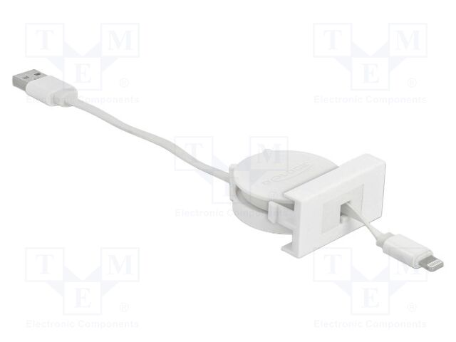 USB module; Easy 45; Apple Lightning plug,USB A plug; white