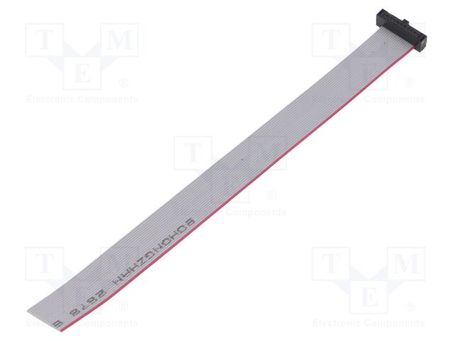 Ribbon cable with IDC connectors; Tape ph: 0.64mm; 152.4mm