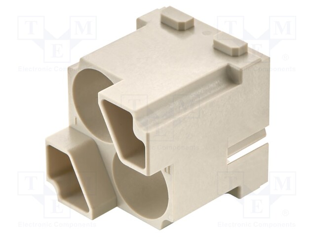 Han-Quintax module, male