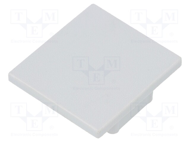 Cap for LED profiles; grey; ABS; Application: LINEA20
