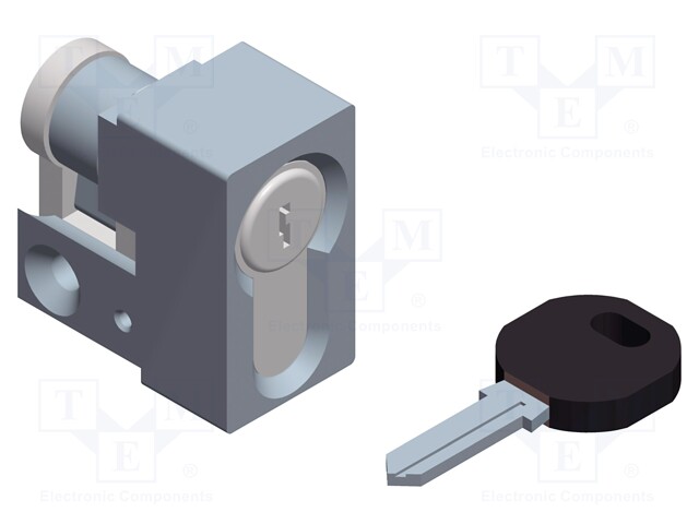 Lock; Kind of insert bolt: cylindrical; Key code: 1242E2