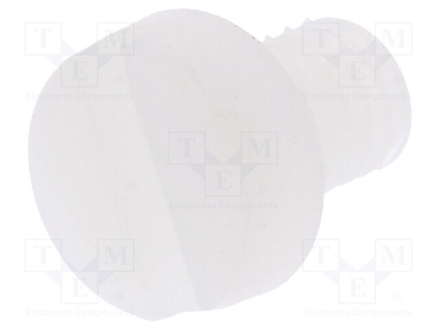 Screw; M4x6; 0.7; Head: cheese head; slotted; 1,3mm; polyamide