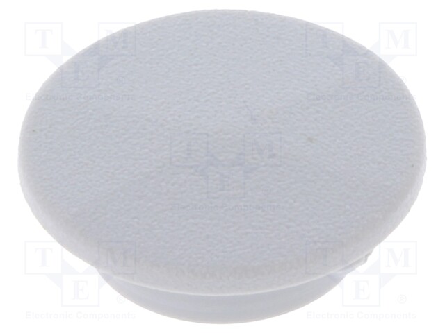 Cap; plastic; push-in; grey; Application: K21