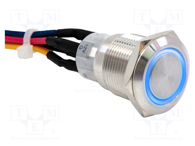 Switch: vandal resistant; Pos: 2; DPDT; 2A/24VDC; IP65; ON-ON; blue