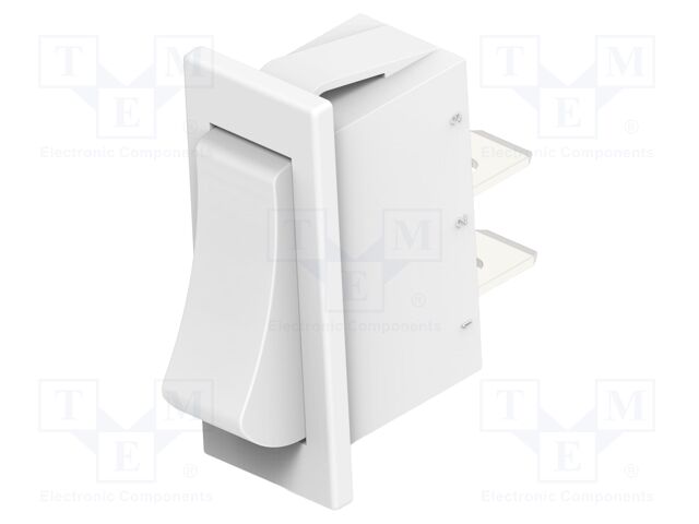 ROCKER; SPST; Pos: 2; ON-OFF; 10A/250VAC; black; none; Body: black