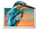Display: TFT; 5"; 800x480; Illumin: LED; Dim: 120.7x75.8x2.95mm; RGB