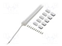 NEON LED tape; white cold; 24V; LED/m: 120; 10mm; IP65; 9.6W/m