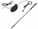 Antenna; car top; 0.4m; AM,FM,GPS; Citroën,Peugeot,Toyota; 1.2m
