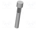 Connector; Contact plating: rhodium plated; Contacts: brass