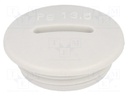Stopper; PG13,5; IP54; Mat: polyamide; grey; Man.series: V-N-FS