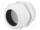 Cable gland; with long thread; M63; IP68; Mat: polyamide; UL94V-0