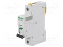Circuit breaker; 230VAC; Inom: 40A; Poles: 1; DIN; Charact: B; 6kA
