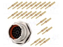 Connector: circular; Series: RT360; socket,plug; male; crimped