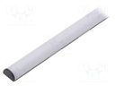 Profiles for LED modules; white; surface; black; L: 1m; aluminium