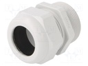 Cable gland; NPT1 1/2"; IP68; Mat: polyamide; light grey; UL94V-0