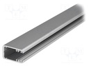 Profiles for LED modules; edge; L: 2m; aluminium; Int.width: 14mm