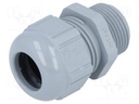 Cable gland; NPT3/4"; IP68; Mat: polyamide; grey