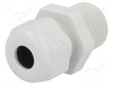 Cable gland; NPT3/8"; IP68; Mat: polyamide; light grey; UL94V-0