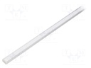 Profiles for LED modules; white; surface; natural; L: 2m; anodized