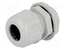 Cable gland; PG16; IP68; Mat: polyamide; light grey; UL94V-2