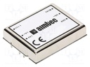 Converter: DC/DC; 30W; Uin: 18÷75V; 24VDC; Iout: 1.25A; 2"x1,6"; 50g