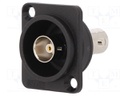 Coupler; BNC socket,both sides; 75Ω; black; Series: FT; 19x24mm
