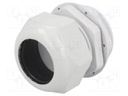 Cable gland; PG42; IP65; Mat: polyamide; grey