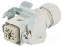 Connector: rectangular; socket; female; EPIC KIT; PIN: 5; 4+PE; M20