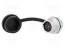 Socket; female; SF12; PIN: 7; IP67; 5A; soldering; 125V; 0.75mm2