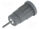 Connector: 4mm banana; socket; 36A; grey; nickel plated; insulated
