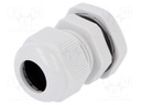 Cable gland; PG16; IP67; Mat: polyamide; grey