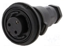 Connector: circular; plug; female; PIN: 3; Buccaneer Standard; IP68